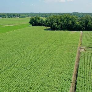Photo #11 of SOLD property in Off Center Hill Road, Tyner, NC 56.8 acres