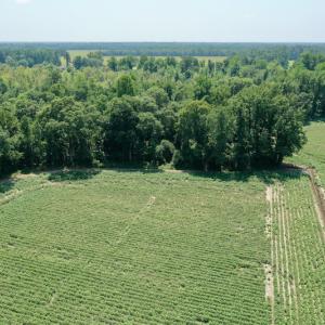 Photo #12 of SOLD property in Off Center Hill Road, Tyner, NC 56.8 acres