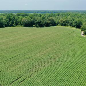 Photo #14 of SOLD property in Off Center Hill Road, Tyner, NC 56.8 acres