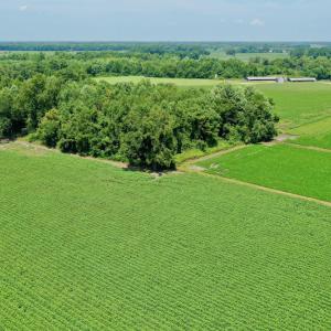 Photo #16 of SOLD property in Off Center Hill Road, Tyner, NC 56.8 acres