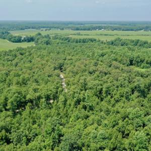Photo #17 of SOLD property in Off Center Hill Road, Tyner, NC 56.8 acres