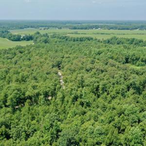 Photo #17 of SOLD property in Off Center Hill Road, Tyner, NC 56.8 acres