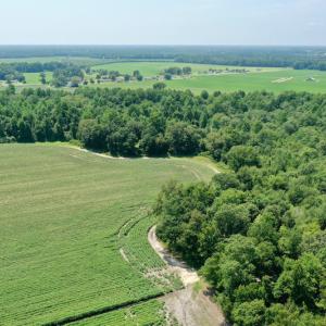 Photo #19 of SOLD property in Off Center Hill Road, Tyner, NC 56.8 acres