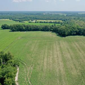 Photo #20 of SOLD property in Off Center Hill Road, Tyner, NC 56.8 acres