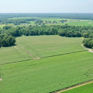 Photo #21 of SOLD property in Off Center Hill Road, Tyner, NC 56.8 acres