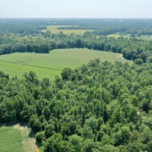 Photo #24 of SOLD property in Off Center Hill Road, Tyner, NC 56.8 acres