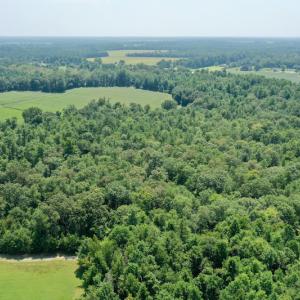Photo #25 of SOLD property in Off Center Hill Road, Tyner, NC 56.8 acres