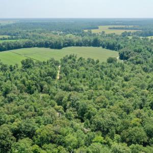 Photo #26 of SOLD property in Off Center Hill Road, Tyner, NC 56.8 acres