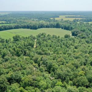 Photo #26 of SOLD property in Off Center Hill Road, Tyner, NC 56.8 acres