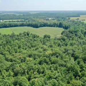 Photo #27 of SOLD property in Off Center Hill Road, Tyner, NC 56.8 acres