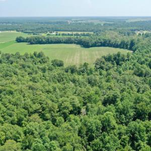Photo #28 of SOLD property in Off Center Hill Road, Tyner, NC 56.8 acres