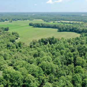 Photo #29 of SOLD property in Off Center Hill Road, Tyner, NC 56.8 acres