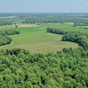 Photo #30 of SOLD property in Off Center Hill Road, Tyner, NC 56.8 acres