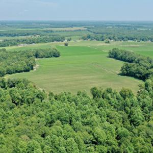 Photo #31 of SOLD property in Off Center Hill Road, Tyner, NC 56.8 acres