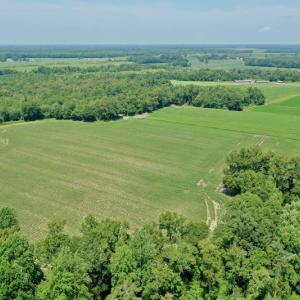 Photo #32 of SOLD property in Off Center Hill Road, Tyner, NC 56.8 acres