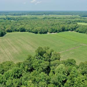 Photo #33 of SOLD property in Off Center Hill Road, Tyner, NC 56.8 acres