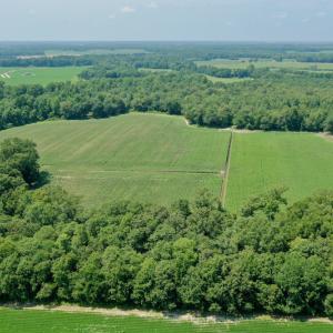 Photo #34 of SOLD property in Off Center Hill Road, Tyner, NC 56.8 acres