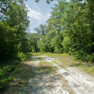 Photo #35 of SOLD property in Off Center Hill Road, Tyner, NC 56.8 acres