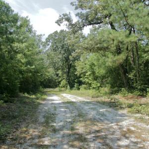 Photo #36 of SOLD property in Off Center Hill Road, Tyner, NC 56.8 acres