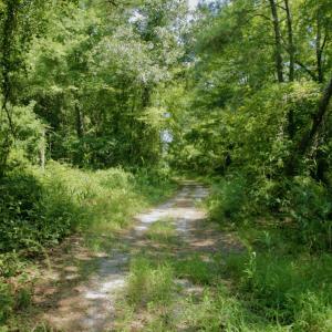 Photo #39 of SOLD property in Off Center Hill Road, Tyner, NC 56.8 acres