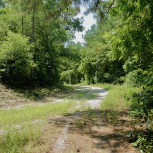 Photo #40 of SOLD property in Off Center Hill Road, Tyner, NC 56.8 acres