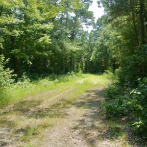 Photo #41 of SOLD property in Off Center Hill Road, Tyner, NC 56.8 acres