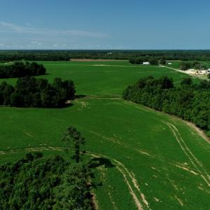 Photo #1 of SOLD property in Off Page Circle Road, Fairmont, NC 33.0 acres