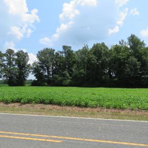 Photo #10 of SOLD property in Off Page Circle Road, Fairmont, NC 33.0 acres