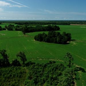 Photo #11 of SOLD property in Off Page Circle Road, Fairmont, NC 33.0 acres