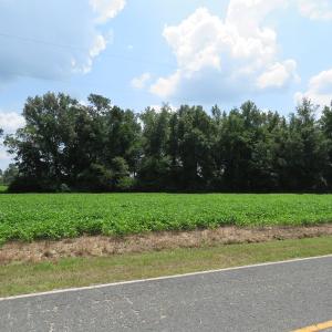 Photo #2 of SOLD property in Off Page Circle Road, Fairmont, NC 33.0 acres