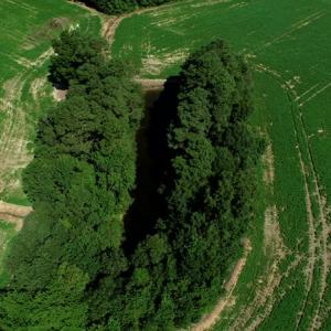 Photo #3 of SOLD property in Off Page Circle Road, Fairmont, NC 33.0 acres