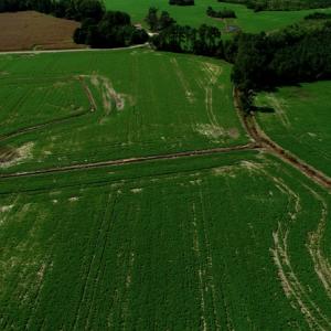 Photo #5 of SOLD property in Off Page Circle Road, Fairmont, NC 33.0 acres