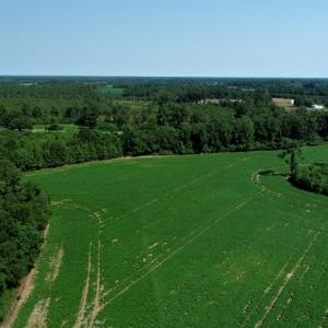 Photo #6 of SOLD property in Off Page Circle Road, Fairmont, NC 33.0 acres