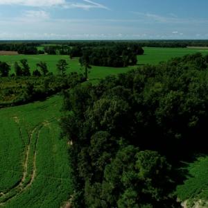 Photo #7 of SOLD property in Off Page Circle Road, Fairmont, NC 33.0 acres