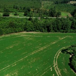 Photo #9 of SOLD property in Off Page Circle Road, Fairmont, NC 33.0 acres