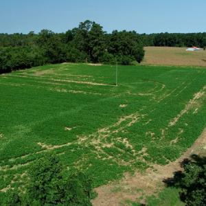 Photo #4 of SOLD property in Off Page Circle Road, Fairmont, NC 14.0 acres