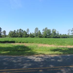 Photo #5 of SOLD property in Off Page Circle Road, Fairmont, NC 14.0 acres