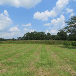 Photo #17 of SOLD property in 8061 Highway 904, Fairmont, NC 10.0 acres