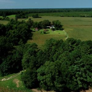 Photo #2 of SOLD property in 8061 Highway 904, Fairmont, NC 10.0 acres
