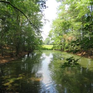 Photo #36 of SOLD property in 8061 Highway 904, Fairmont, NC 10.0 acres