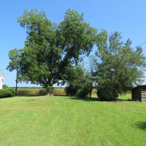 Photo #9 of SOLD property in 8061 Highway 904, Fairmont, NC 10.0 acres