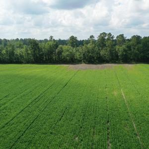 Photo #2 of SOLD property in Off John L Road, Maxton, NC 28.8 acres