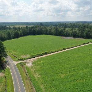 Photo #14 of SOLD property in Off John L Road, Maxton, NC 28.8 acres