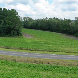 Photo #8 of SOLD property in Off John L Road, Maxton, NC 28.8 acres