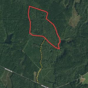 Photo #1 of SOLD property in Off Adcock Road, Enfield, NC 58.0 acres