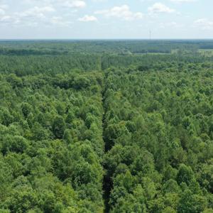 Photo #2 of SOLD property in Off Adcock Road, Enfield, NC 58.0 acres