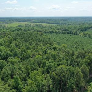 Photo #4 of SOLD property in Off Adcock Road, Enfield, NC 58.0 acres