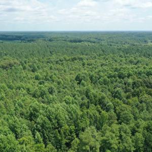 Photo #6 of SOLD property in Off Adcock Road, Enfield, NC 58.0 acres