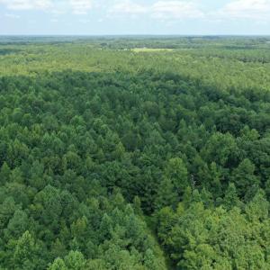 Photo #11 of SOLD property in Off Adcock Road, Enfield, NC 58.0 acres