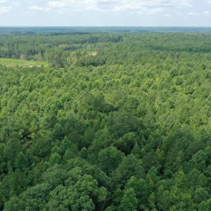 Photo #16 of SOLD property in Off Adcock Road, Enfield, NC 58.0 acres